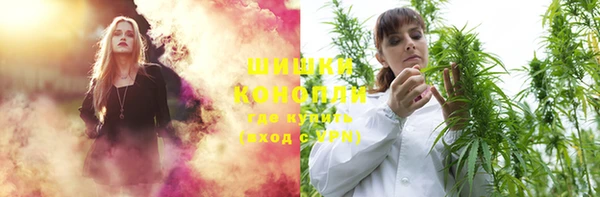 меф Новодвинск