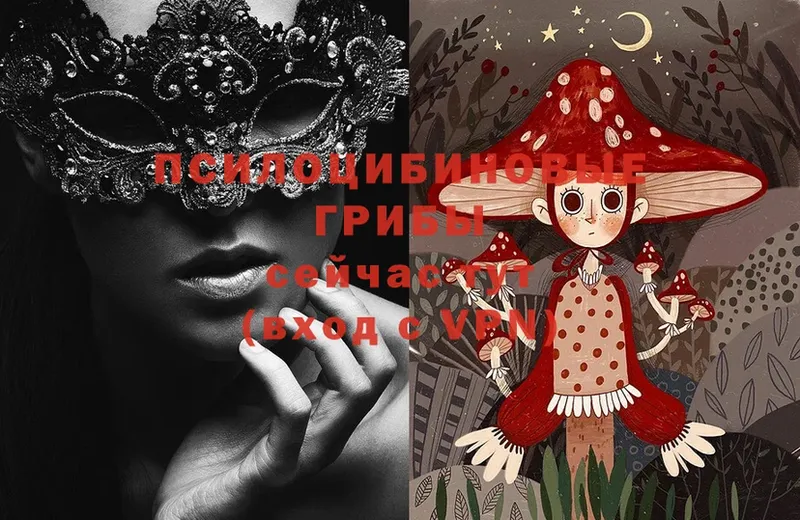 закладки  Почеп  Галлюциногенные грибы MAGIC MUSHROOMS 